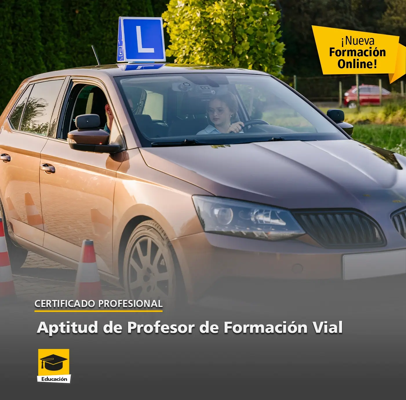 Certificado Online de Aptitud de Profesor de Formación Vial Certificado Online de Aptitud de Profesor de Formación Vial