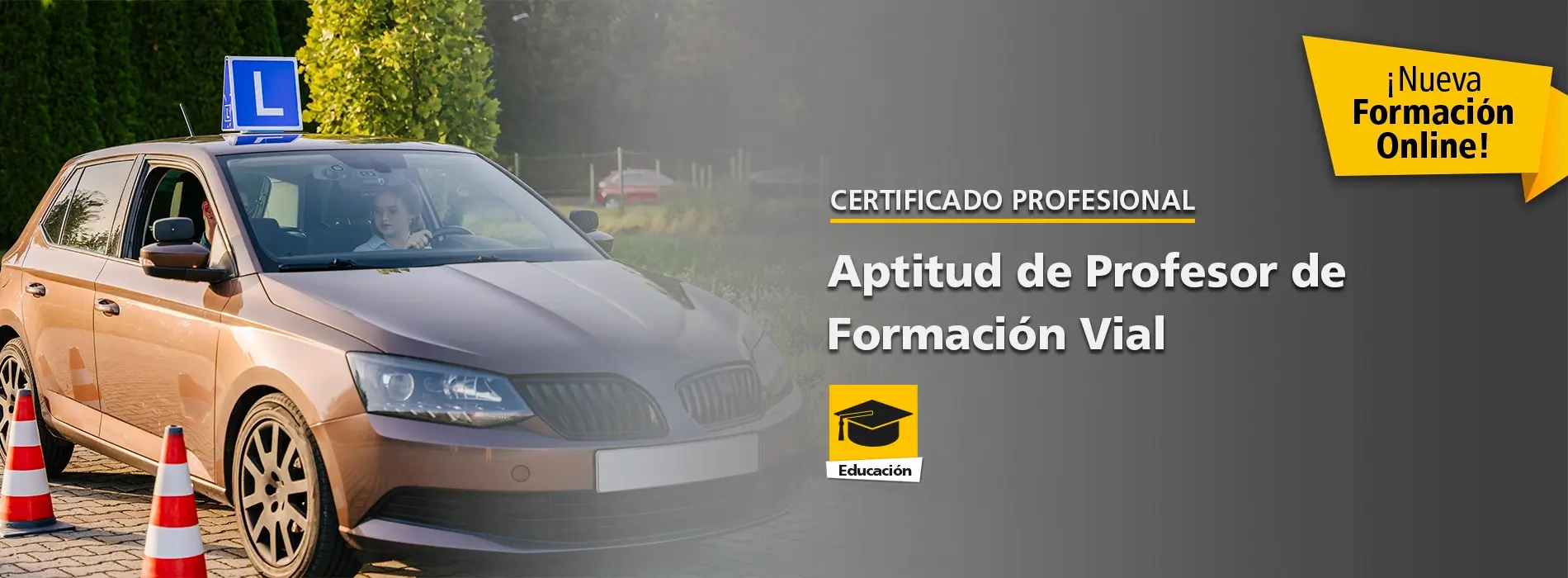 Certificado Online de Aptitud de Profesor de Formación Vial Certificado Online de Aptitud de Profesor de Formación Vial