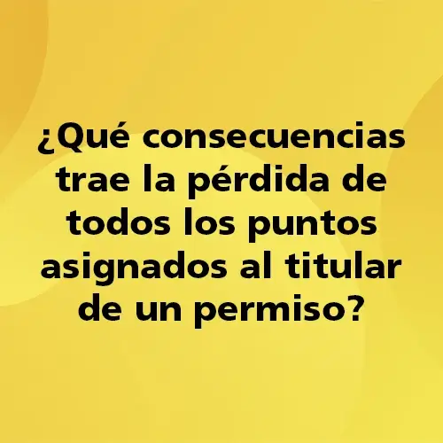 Pregunta teórica: ¿Qué consecuencias trae la pérdida de todos los puntos asignados al titular de un permiso? Fondo amarillo con texto negro destacando la pregunta.