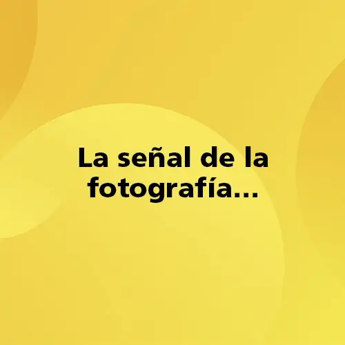 Pregunta teórica: La señal de la fotografía… Fondo amarillo con texto negro destacando la pregunta.