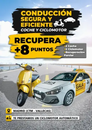 Recupera 8 Puntos en tu Carnet Coche, Ciclomotor y Recuperación Parcial en Madrid